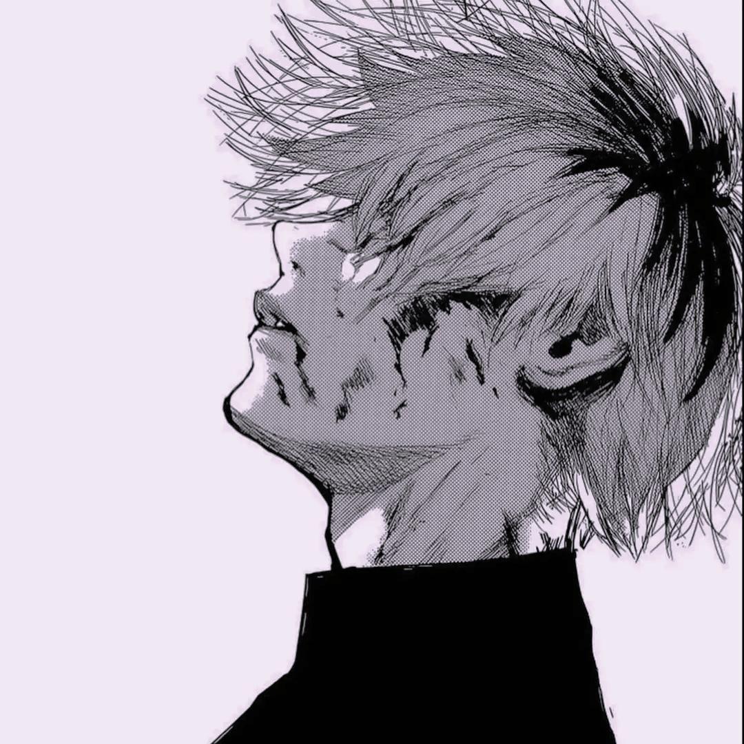 wixiuGamer avatar