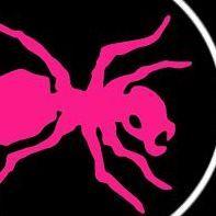 FireSt4rter avatar