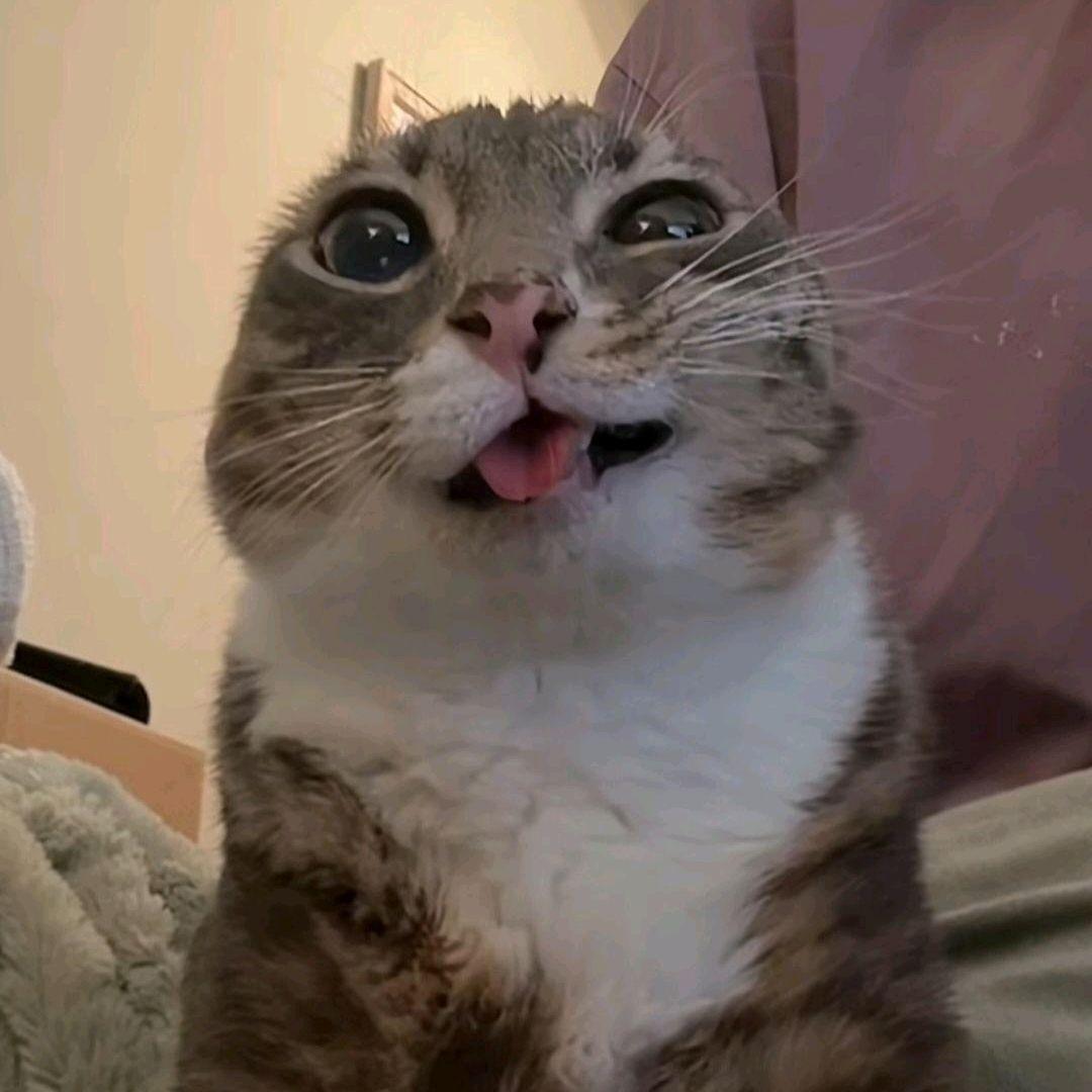CL0 avatar