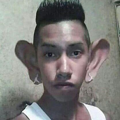 KromkaBulki