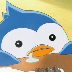 _pengu1n_ avatar