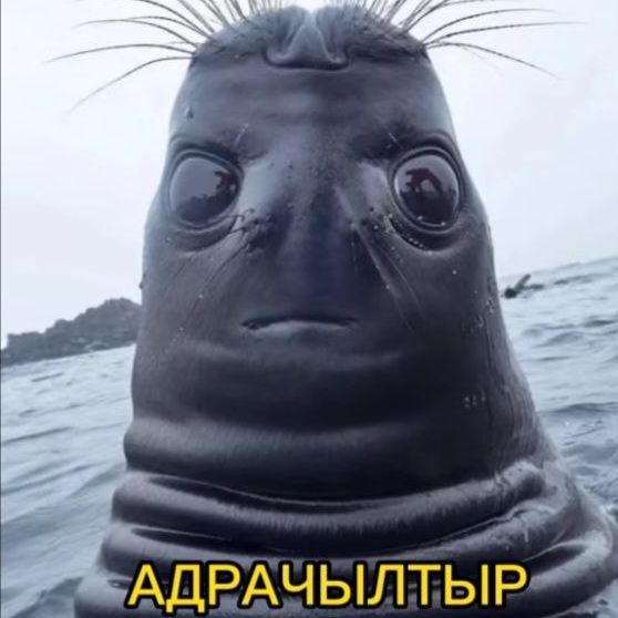 fartyna4ka