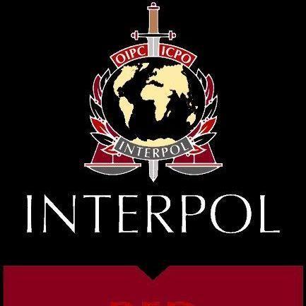 interpollez avatar