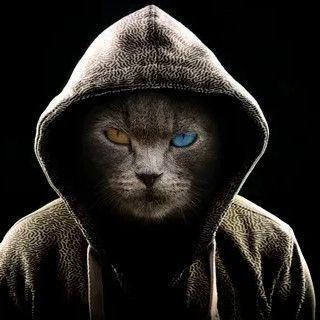 Faceit avatar