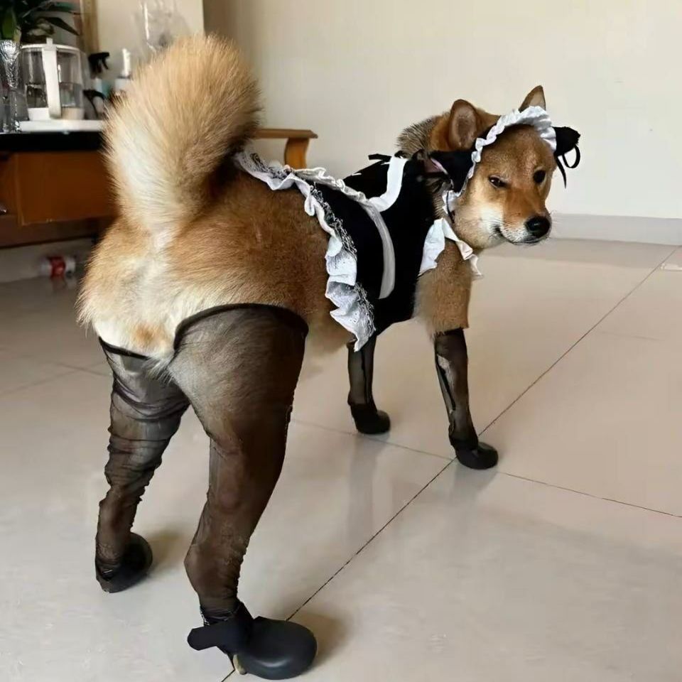 XPEH