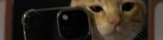 Faceit banner for @skier