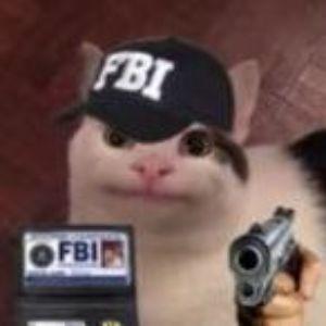ShengLG avatar