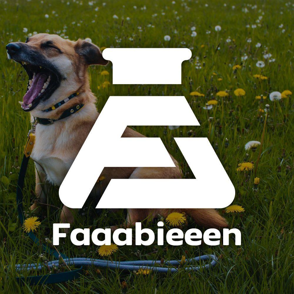 Player Faaabieeen avatar