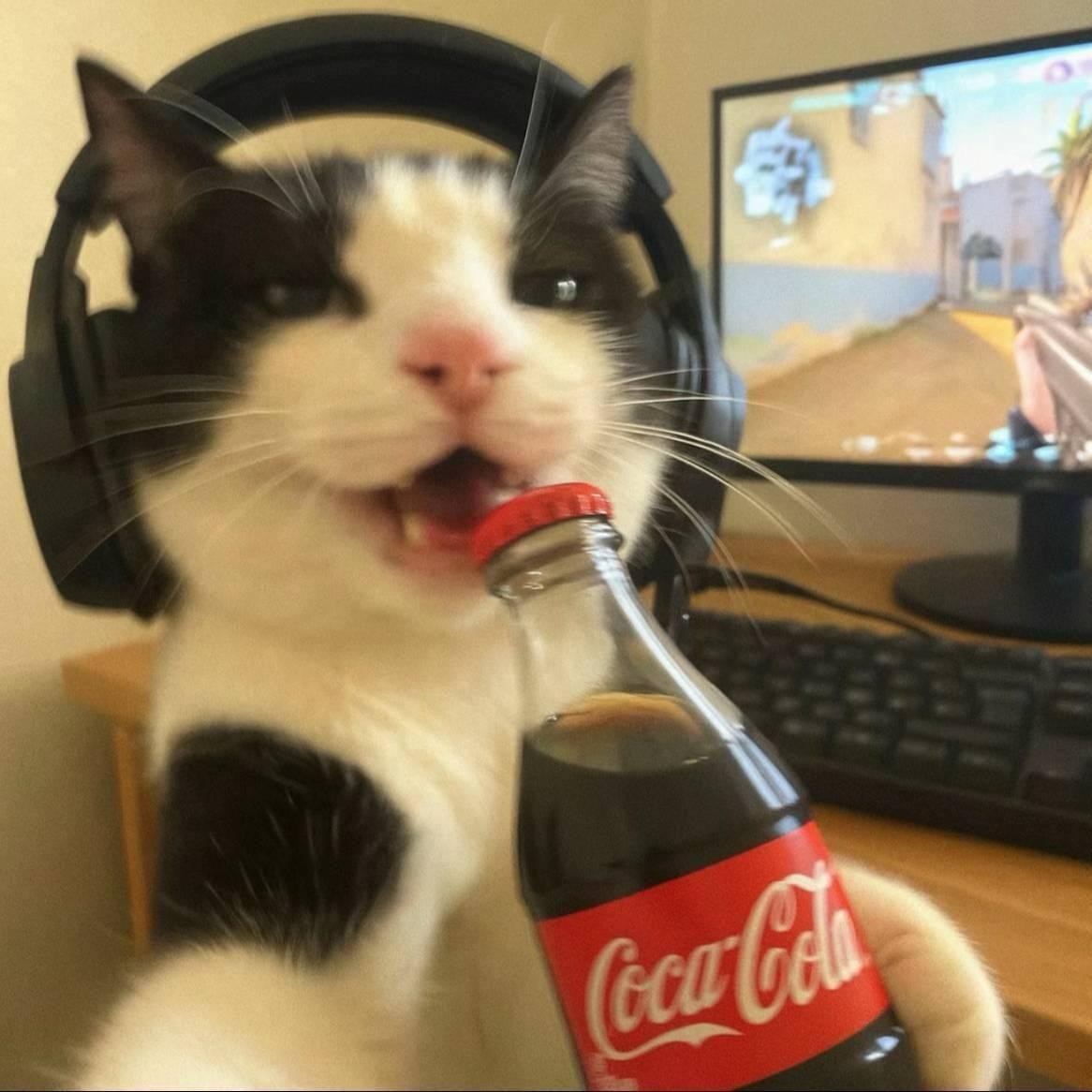 JekaMIXYT avatar
