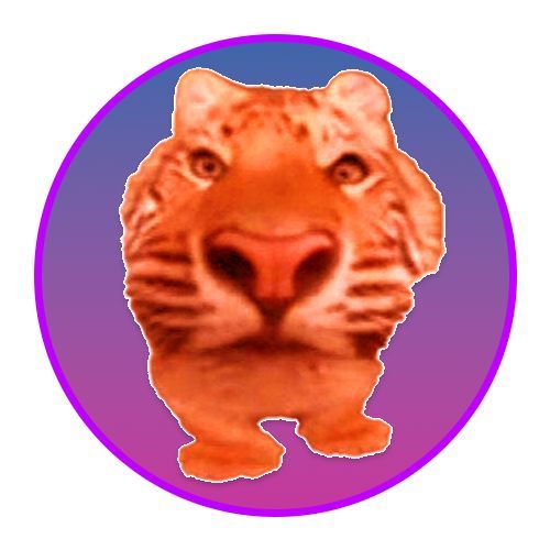 Clemson Orange1