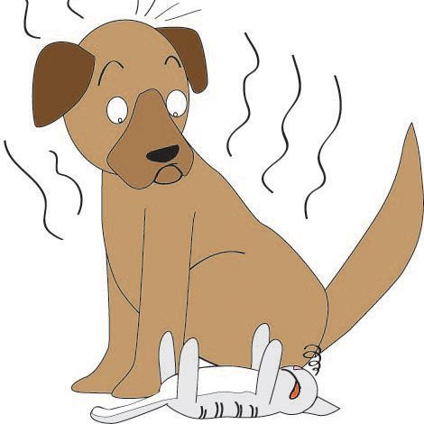 Stinkydogzz