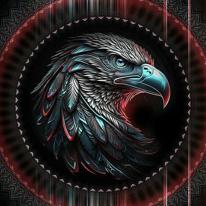 Eagle_EyeVN