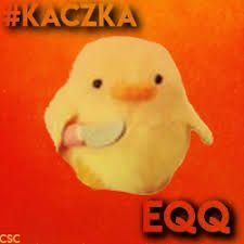 kaczka_peek
