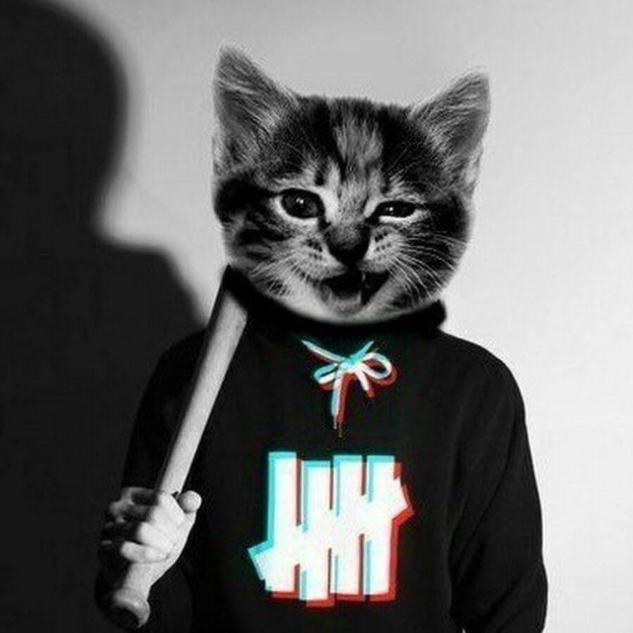 -KLINKI avatar