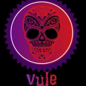 Player -vule- avatar