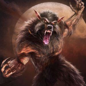 WereWolf_133 avatar