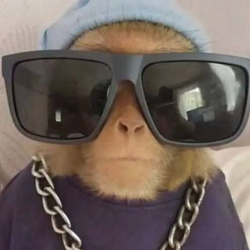 jasiekk_