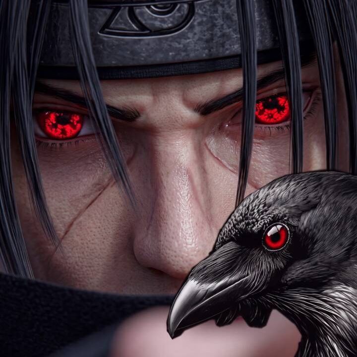 nidza666