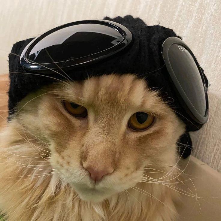 Boomer_Yeezy avatar
