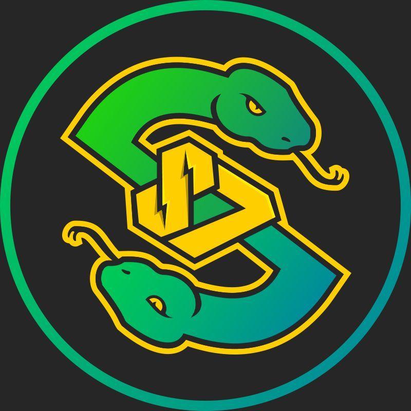 Player SnakeStorm87 avatar