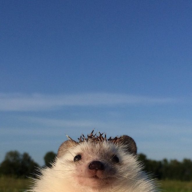 0OOOOOOOO0