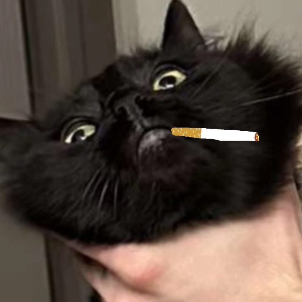 T2GPesto