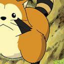 ImRaccoon avatar