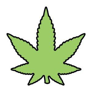 ZOKUZMAJ420 avatar