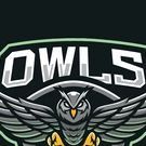 Owls