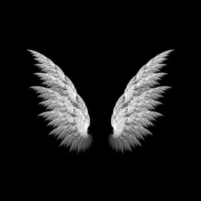 iwnllorzi avatar