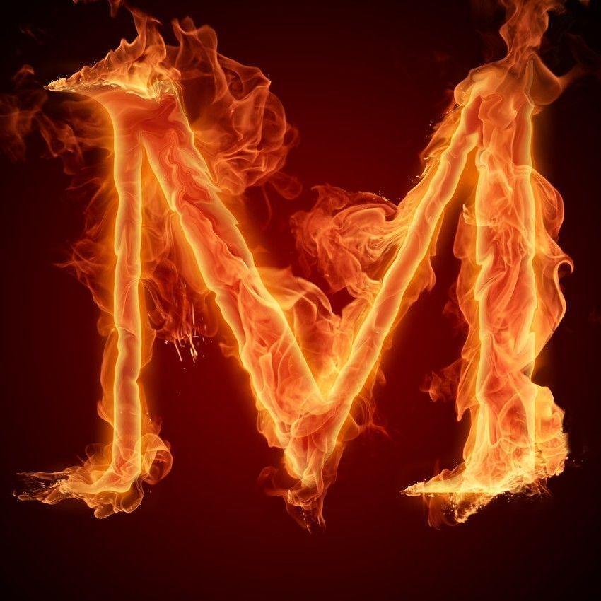 MURZSHOW1337 avatar