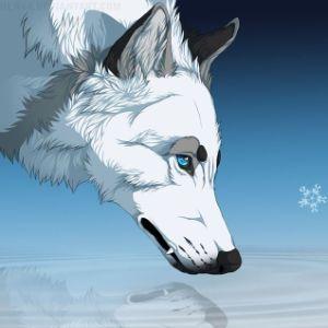 Player SKYWOLF-_ avatar