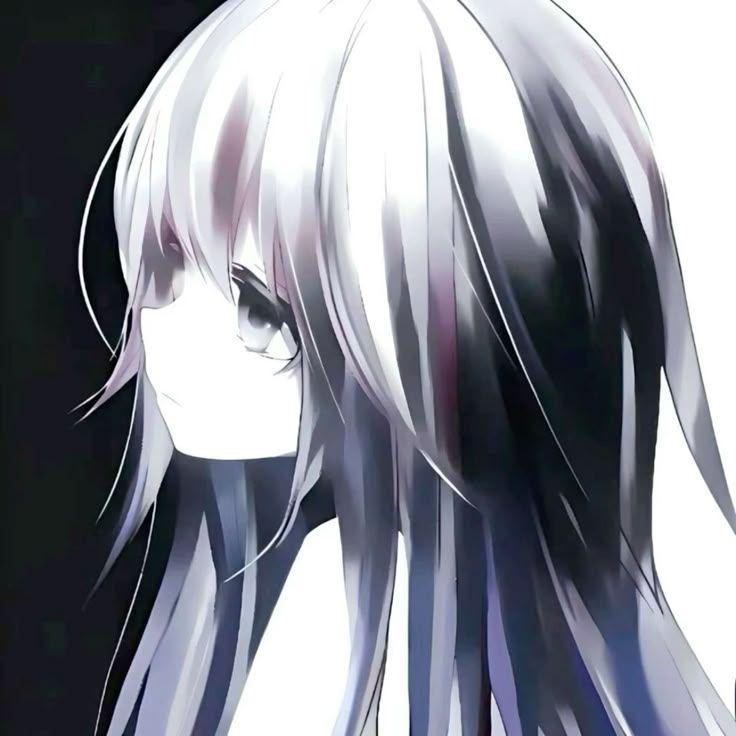 k3danis avatar