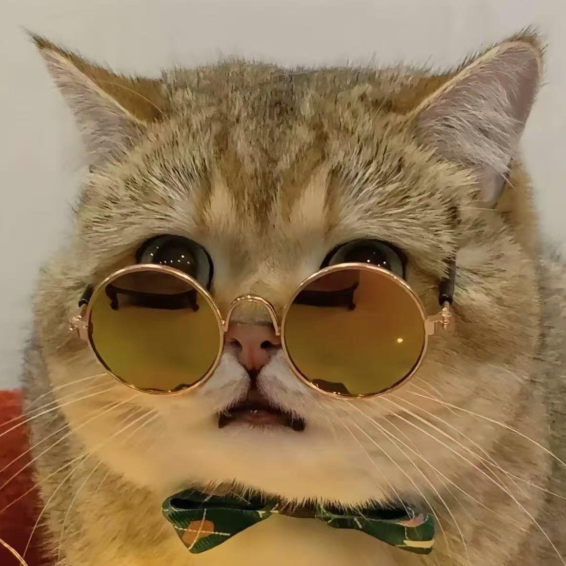 CHENGSIR666