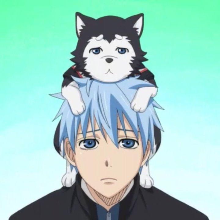 artbq avatar