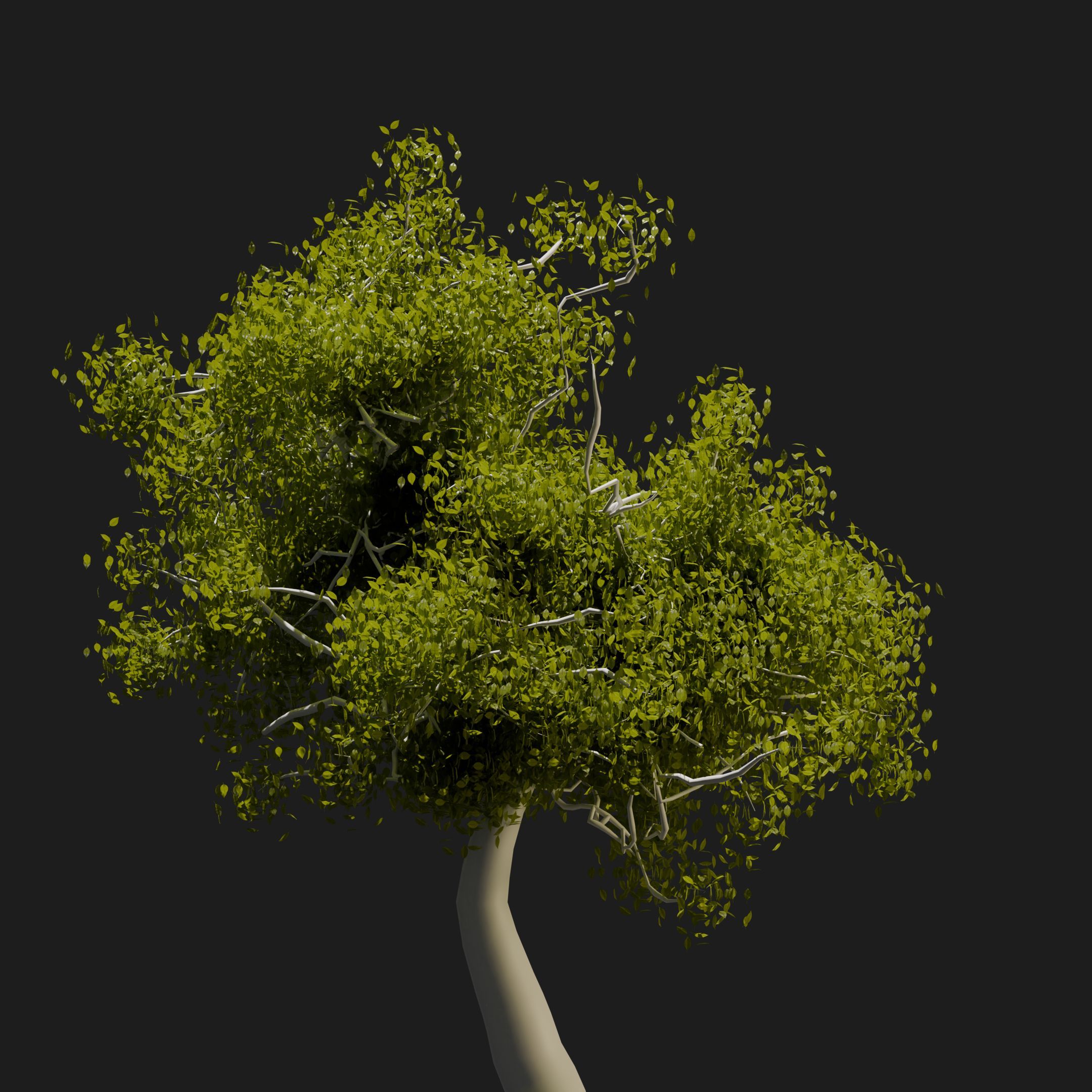 MimochnekK