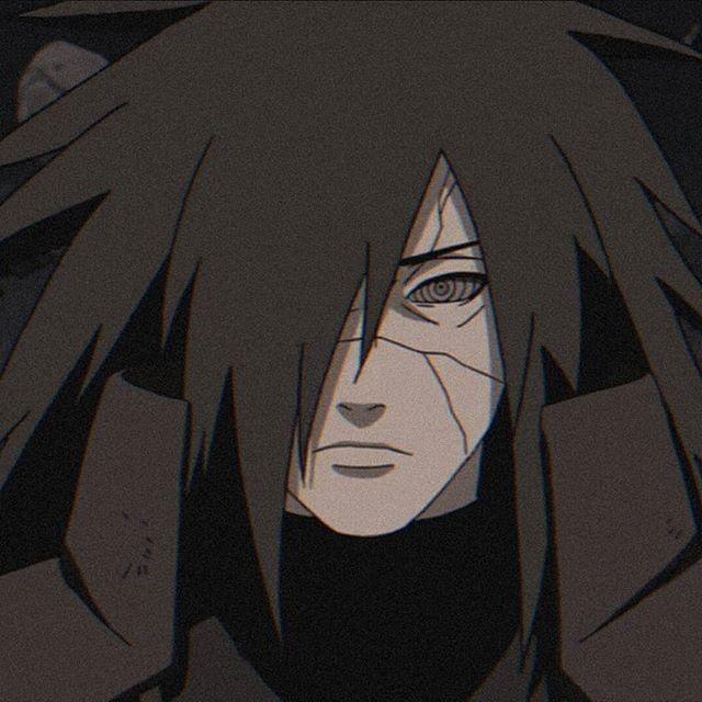 ferinho avatar