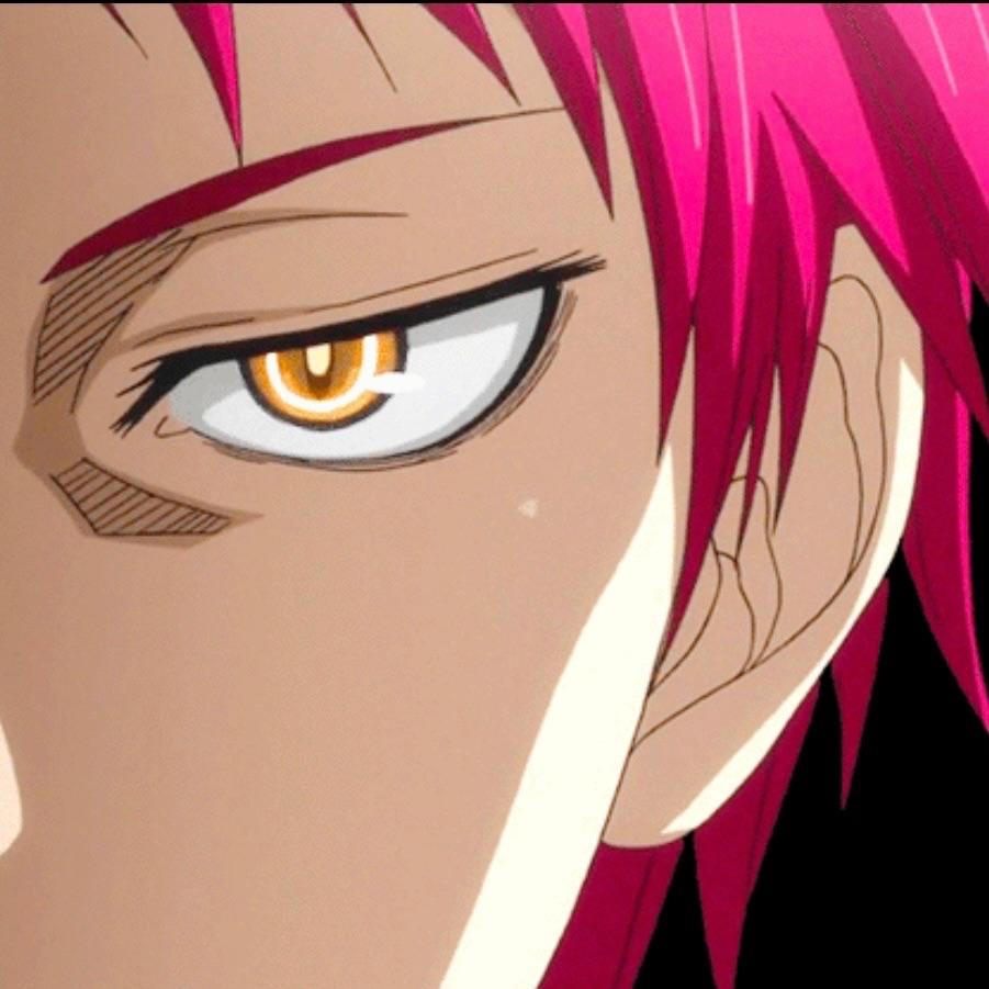 shplfter avatar