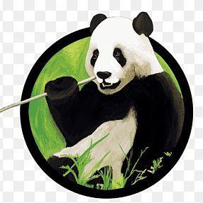 ProxyPanda avatar