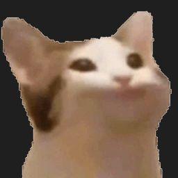 suegetzzu avatar
