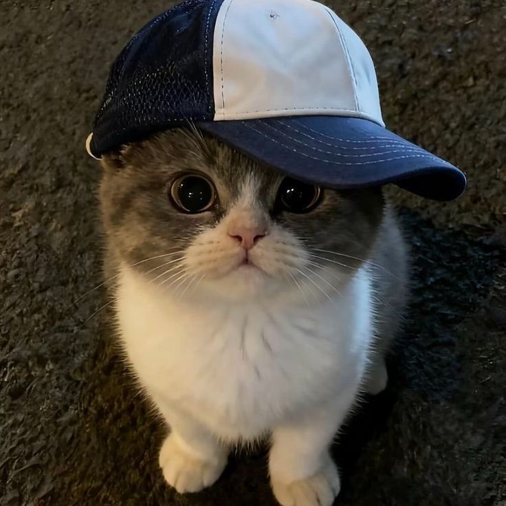 aMPYLS0N FACEIT avatar