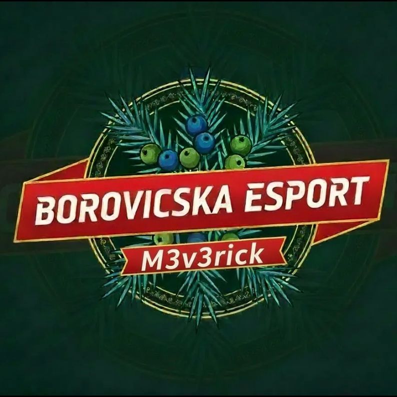 team_M3v3rick