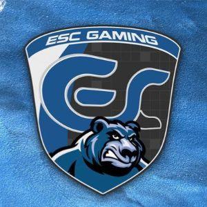 ESC GAMING