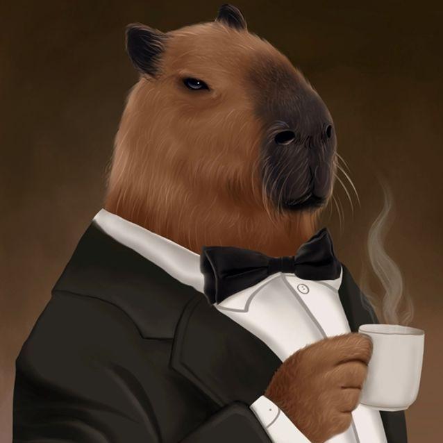 stareea avatar