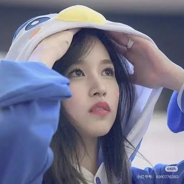 team_xiaoheidegou