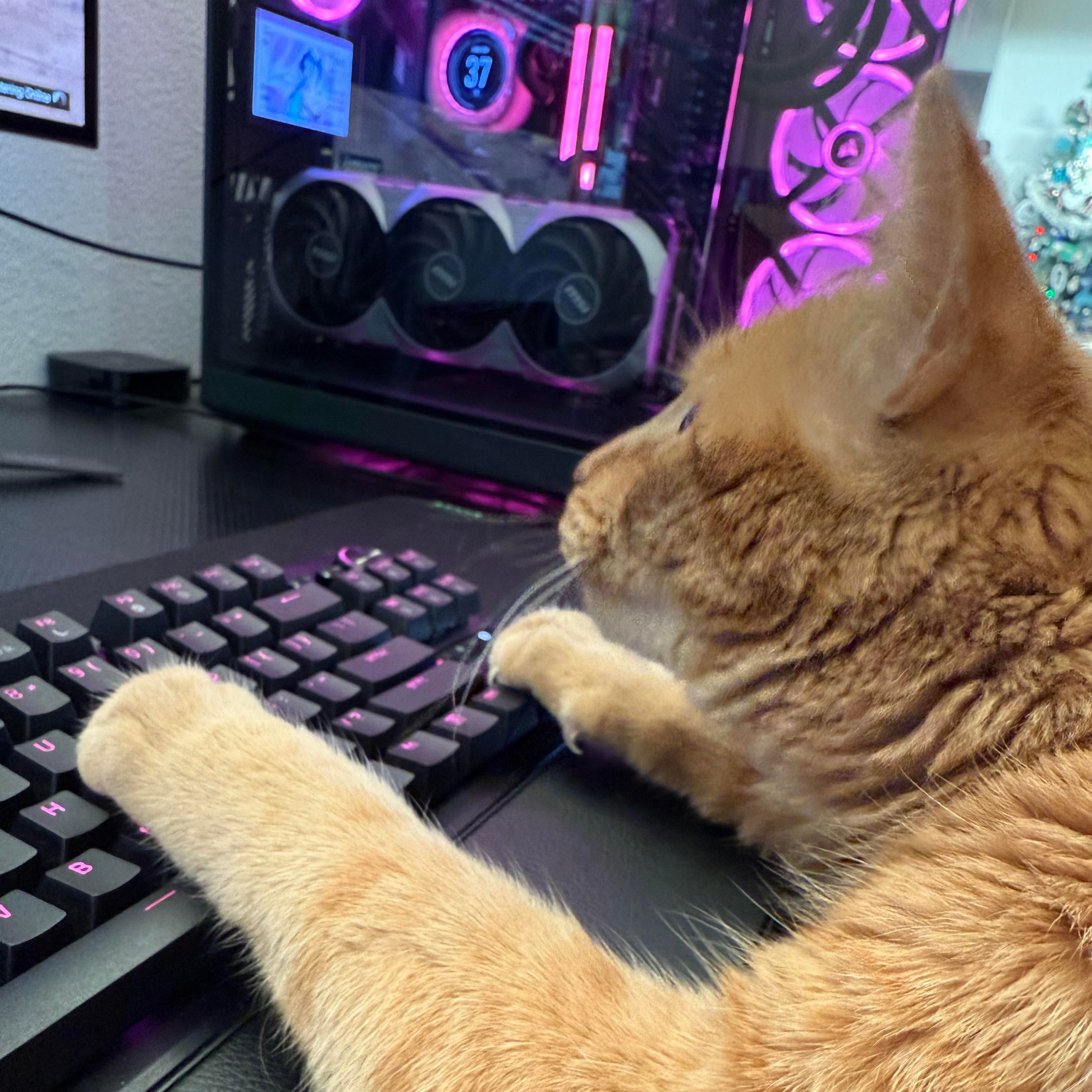 WilyowBiceps