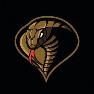 cCL0UDYy avatar