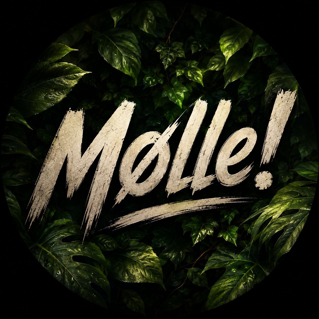 Moelle-