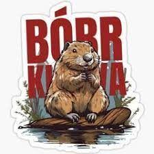 KurwAa B0BR