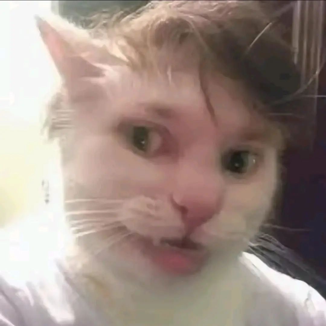 Boberek60hz